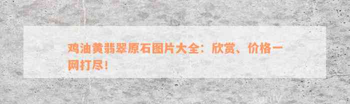 鸡油黄翡翠原石图片大全：欣赏、价格一网打尽！