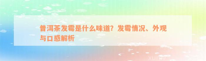 普洱茶发霉是什么味道？发霉情况、外观与口感解析