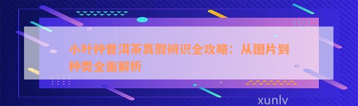 小叶种普洱茶真假辨识全攻略：从图片到种类全面解析