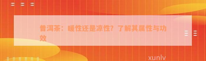 普洱茶：暖性还是凉性？了解其属性与功效