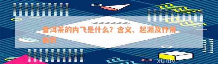 普洱茶的内飞是什么？含义、起源及作用解析