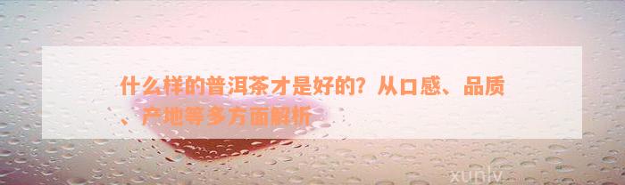 什么样的普洱茶才是好的？从口感、品质、产地等多方面解析