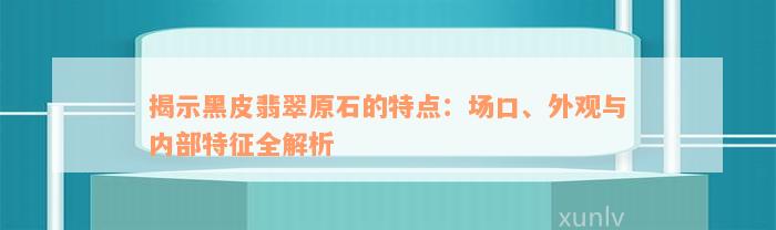 揭示黑皮翡翠原石的特点：场口、外观与内部特征全解析