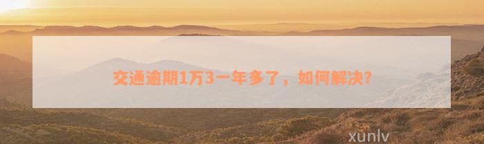 交通逾期1万3一年多了，如何解决？