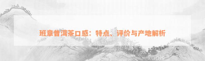 班章普洱茶口感：特点、评价与产地解析