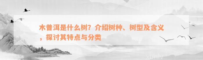 木普洱是什么树？介绍树种、树型及含义，探讨其特点与分类