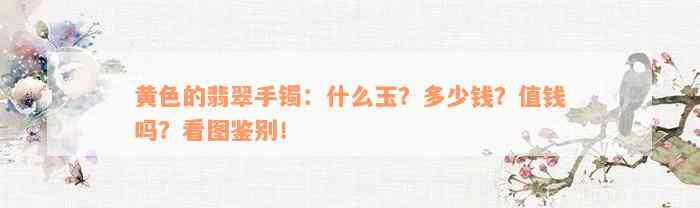 黄色的翡翠手镯：什么玉？多少钱？值钱吗？看图鉴别！