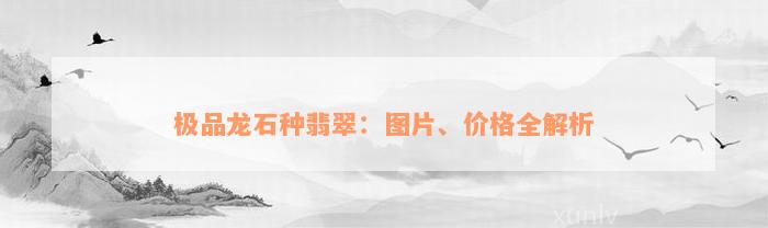 极品龙石种翡翠：图片、价格全解析