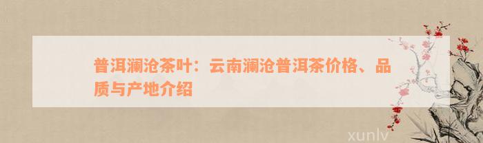 普洱澜沧茶叶：云南澜沧普洱茶价格、品质与产地介绍