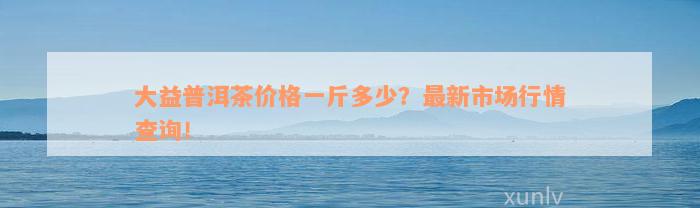 大益普洱茶价格一斤多少？最新市场行情查询！