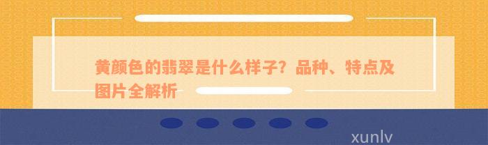 黄颜色的翡翠是什么样子？品种、特点及图片全解析