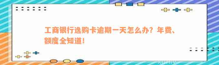 工商银行逸购卡逾期一天怎么办？年费、额度全知道！