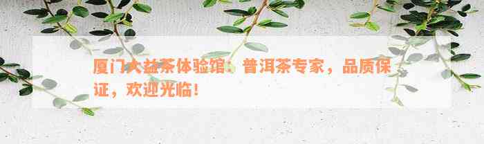 厦门大益茶体验馆：普洱茶专家，品质保证，欢迎光临！