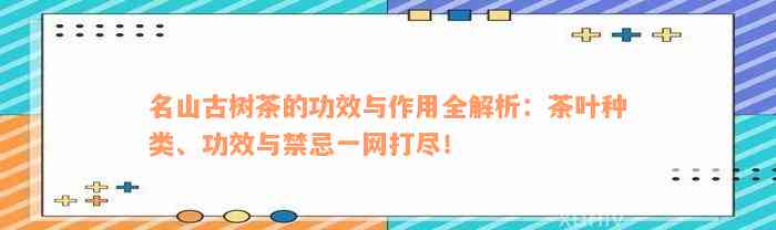 名山古树茶的功效与作用全解析：茶叶种类、功效与禁忌一网打尽！