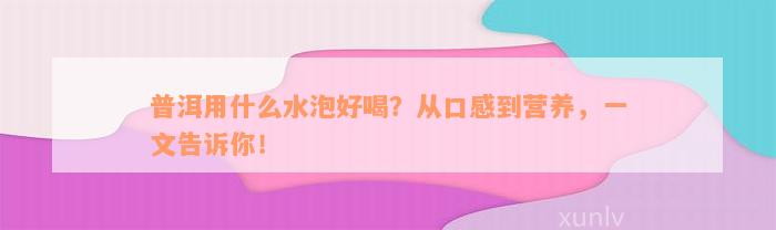 普洱用什么水泡好喝？从口感到营养，一文告诉你！