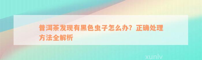 普洱茶发现有黑色虫子怎么办？正确处理方法全解析