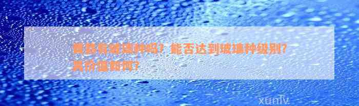 黄翡有玻璃种吗？能否达到玻璃种级别？其价值如何？