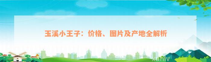 玉溪小王子：价格、图片及产地全解析