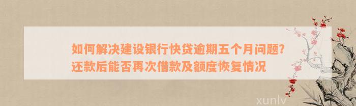 如何解决建设银行快贷逾期五个月问题？还款后能否再次借款及额度恢复情况