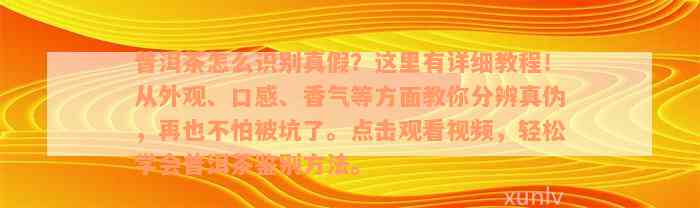 普洱茶怎么识别真假？这里有详细教程！从外观、口感、香气等方面教你分辨真伪，再也不怕被坑了。点击观看视频，轻松学会普洱茶鉴别方法。