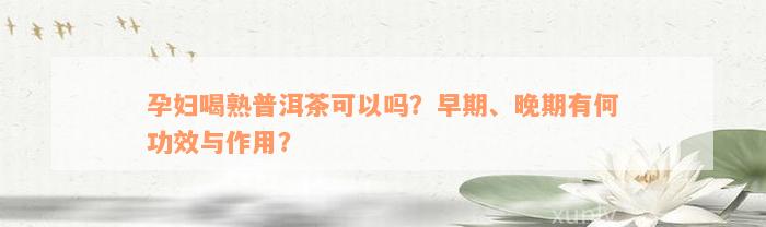 孕妇喝熟普洱茶可以吗？早期、晚期有何功效与作用？