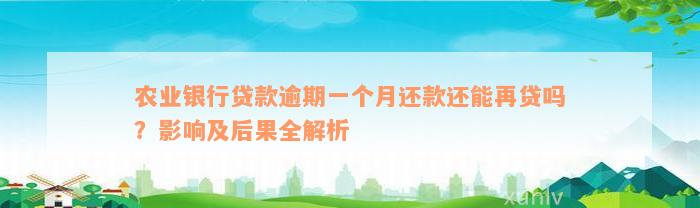 农业银行贷款逾期一个月还款还能再贷吗？影响及后果全解析