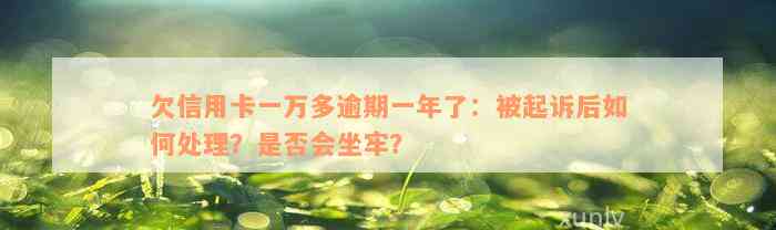 欠信用卡一万多逾期一年了：被起诉后如何处理？是否会坐牢？