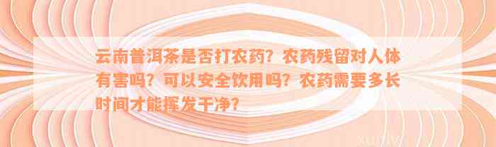 云南普洱茶是否打农药？农药残留对人体有害吗？可以安全饮用吗？农药需要多长时间才能挥发干净？