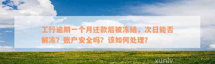 工行逾期一个月还款后被冻结，次日能否解冻？账户安全吗？该如何处理？