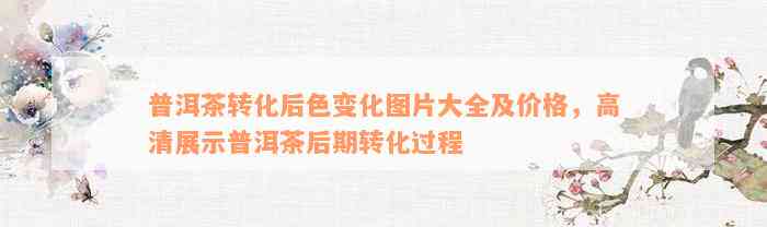 普洱茶转化后色变化图片大全及价格，高清展示普洱茶后期转化过程