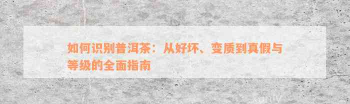 如何识别普洱茶：从好坏、变质到真假与等级的全面指南