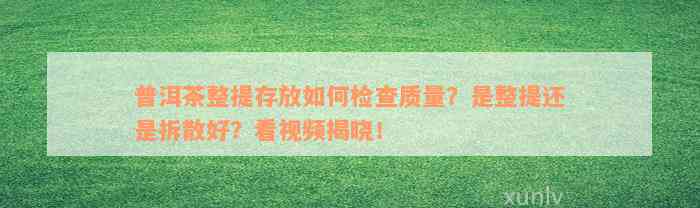 普洱茶整提存放如何检查质量？是整提还是拆散好？看视频揭晓！