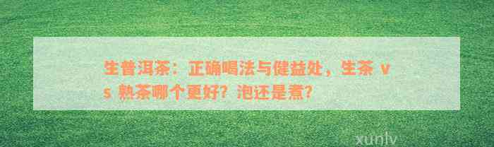 生普洱茶：正确喝法与健益处，生茶 vs 熟茶哪个更好？泡还是煮？