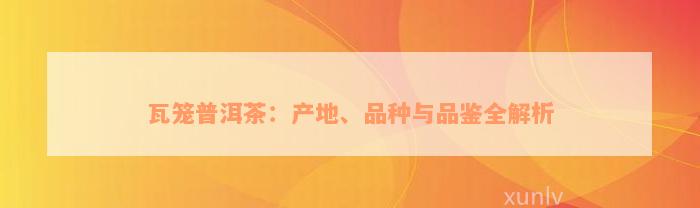 瓦笼普洱茶：产地、品种与品鉴全解析