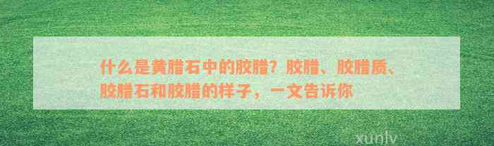 什么是黄腊石中的胶腊？胶腊、胶腊质、胶腊石和胶腊的样子，一文告诉你