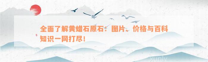 全面了解黄蜡石原石：图片、价格与百科知识一网打尽！