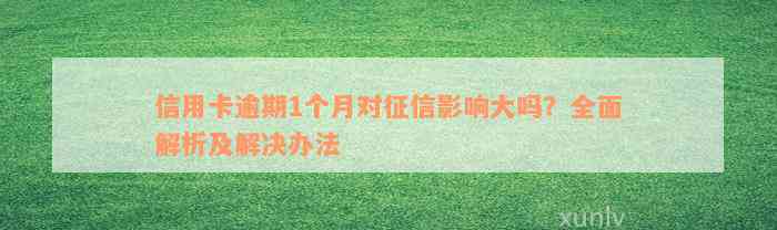 信用卡逾期1个月对征信影响大吗？全面解析及解决办法