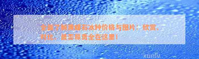 全面了解黄蜡石冰种价格与图片：欣赏、对比、是否昂贵全在这里！