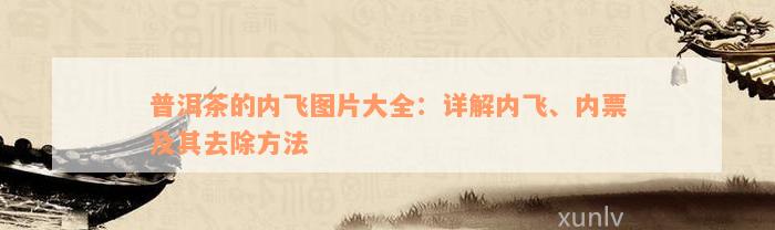 普洱茶的内飞图片大全：详解内飞、内票及其去除方法