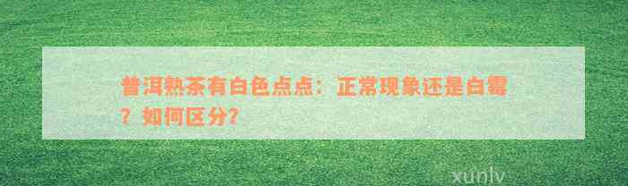 普洱熟茶有白色点点：正常现象还是白霉？如何区分？