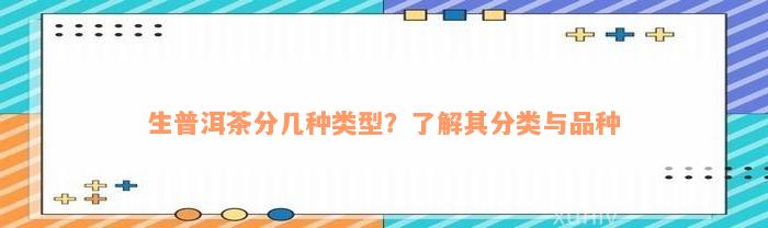 生普洱茶分几种类型？了解其分类与品种