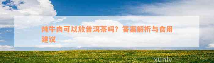 炖牛肉可以放普洱茶吗？答案解析与食用建议