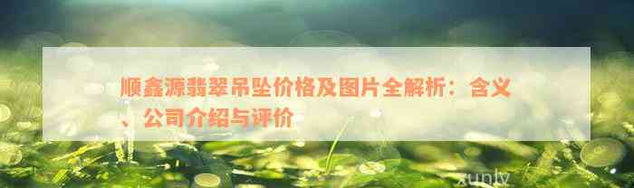 顺鑫源翡翠吊坠价格及图片全解析：含义、公司介绍与评价