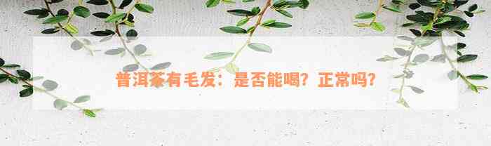 普洱茶有毛发：是否能喝？正常吗？