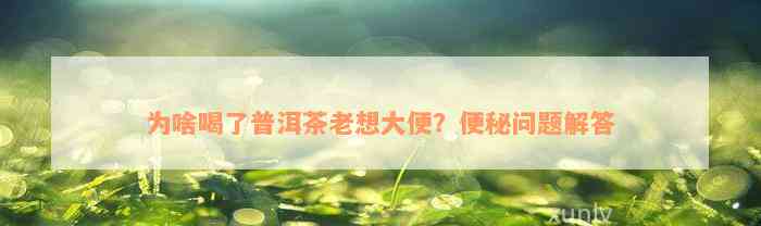 为啥喝了普洱茶老想大便？便秘问题解答