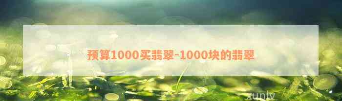 预算1000买翡翠-1000块的翡翠