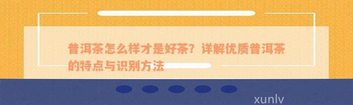 普洱茶怎么样才是好茶？详解优质普洱茶的特点与识别方法