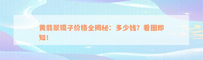 黄翡翠镯子价格全揭秘：多少钱？看图即知！