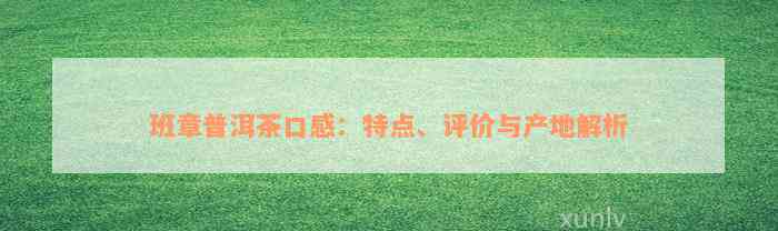 班章普洱茶口感：特点、评价与产地解析