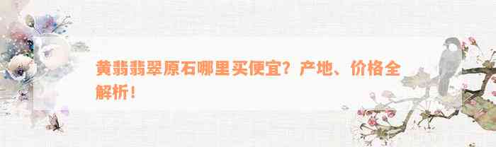 黄翡翡翠原石哪里买便宜？产地、价格全解析！